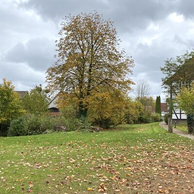 Bild vergr&ouml;&szlig;ern: Pfarrgarten1