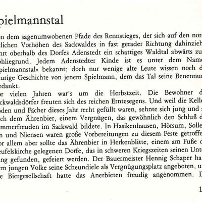 Bild vergr&ouml;&szlig;ern: Spielmannstal1