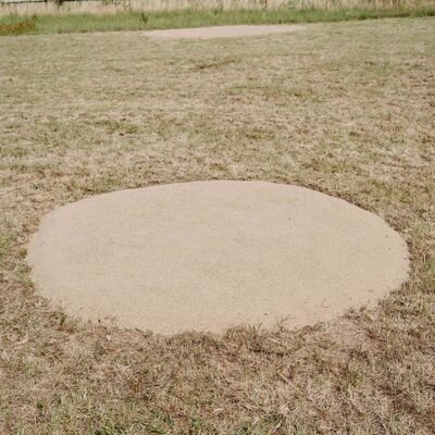 Bild vergr&ouml;&szlig;ern: Michael und Christian K&ouml;pper - Erdkontraste 2