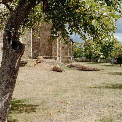 Bild vergr&ouml;&szlig;ern: Erdboten 1