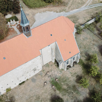 Bild vergr&ouml;&szlig;ern: Erdboten 4