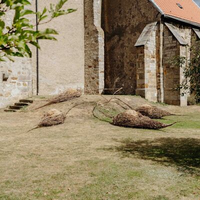 Bild vergr&ouml;&szlig;ern: Erdboten 7