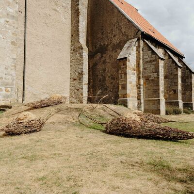 Bild vergr&ouml;&szlig;ern: Erdboten 8