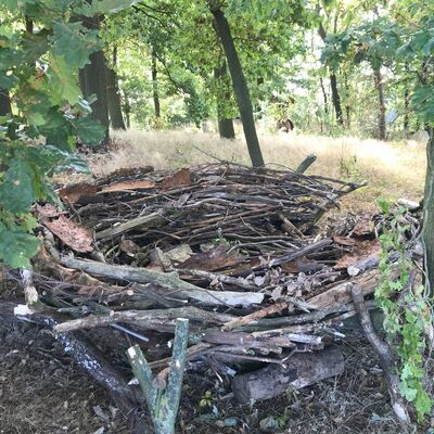 Bild vergr&ouml;&szlig;ern: Wahrberg_1