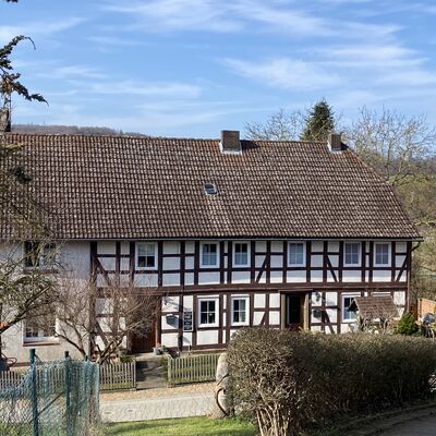 Bild vergr&ouml;&szlig;ern: Holle4