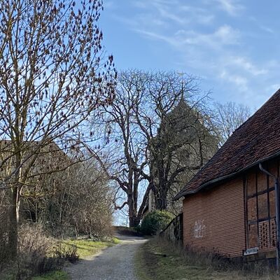 Bild vergr&ouml;&szlig;ern: Holle5