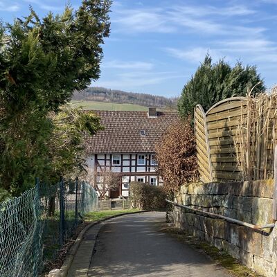 Bild vergr&ouml;&szlig;ern: Holle9