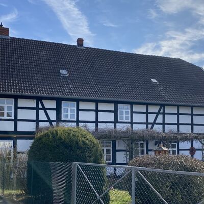 Bild vergr&ouml;&szlig;ern: Holle10