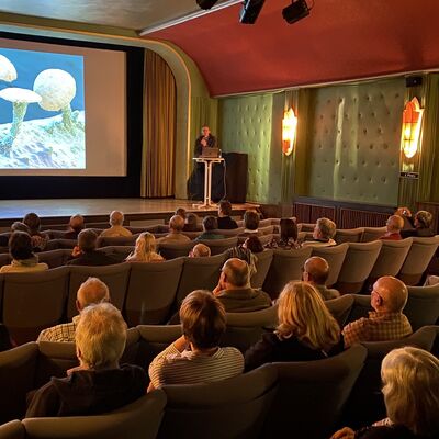 Bild vergr&ouml;&szlig;ern: Drecksarbeit - Faszinierende Einblicke ins Bodenleben