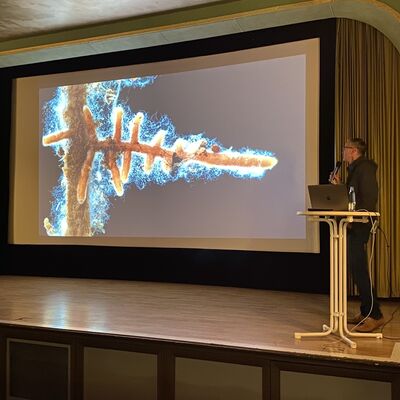 Bild vergr&ouml;&szlig;ern: Drecksarbeit - Faszinierende Einblicke ins Bodenleben