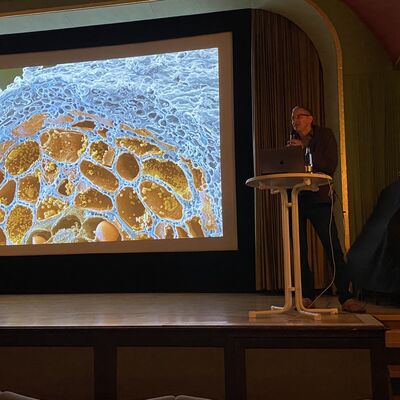 Bild vergr&ouml;&szlig;ern: Drecksarbeit - Faszinierende Einblicke ins Bodenleben