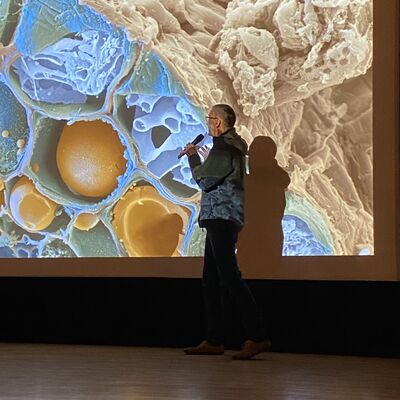 Drecksarbeit - Faszinierende Einblicke ins Bodenleben