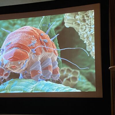 Bild vergr&ouml;&szlig;ern: Drecksarbeit - Faszinierende Einblicke ins Bodenleben