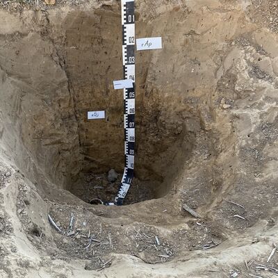 Bild vergr&ouml;&szlig;ern: IMG_7995