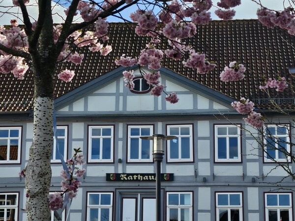 Rathaus_Fr&uuml;hling
