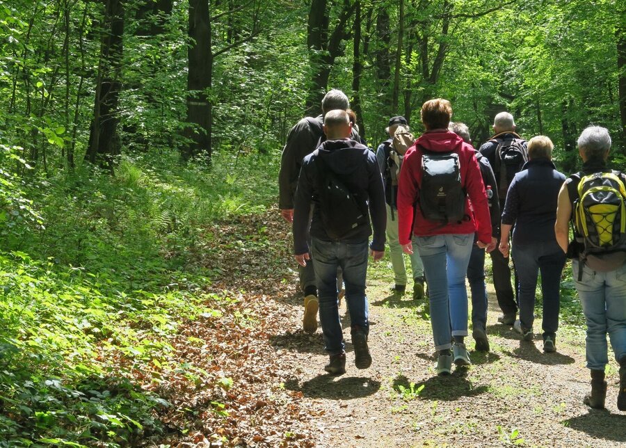 Interner Link: Zur Veranstaltung Wander in den 