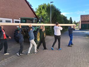 Mahlum - Gemeinsamer Aufbau