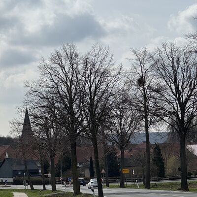 Bild vergr&ouml;&szlig;ern: Aussicht_Landstra&szlig;e_von_Bettrum