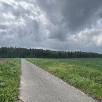 Bild vergr&ouml;&szlig;ern: Forscher_W&auml;ldchen