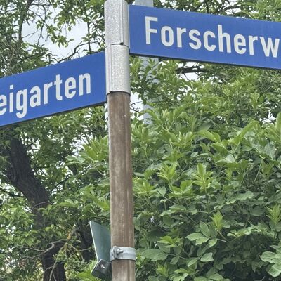 Bild vergr&ouml;&szlig;ern: Forscherweg