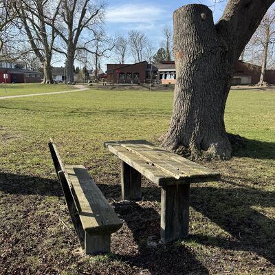 Bild vergr&ouml;&szlig;ern: Gottfried_von_Cramm_Park