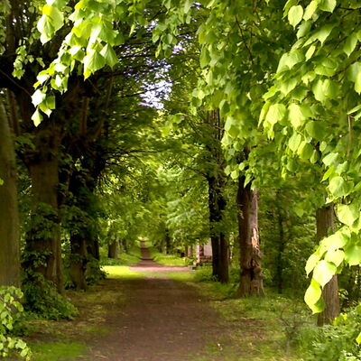 Bild vergr&ouml;&szlig;ern: Allee Heinde - Listringen.