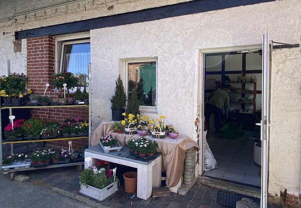 Bild vergr&ouml;&szlig;ern: Blumenstube
