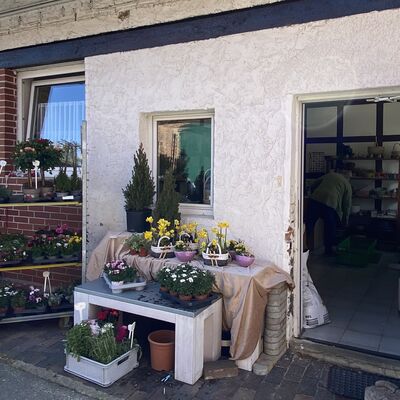 Bild vergr&ouml;&szlig;ern: Blumenstube