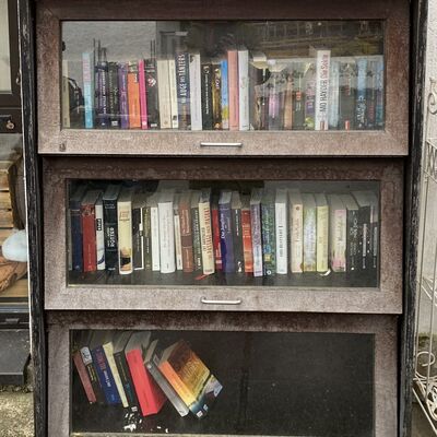 Bild vergr&ouml;&szlig;ern: B&uuml;cherschrank