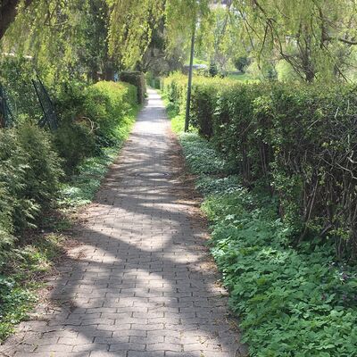 Bild vergr&ouml;&szlig;ern: Fu&szlig;weg zum Kichberg