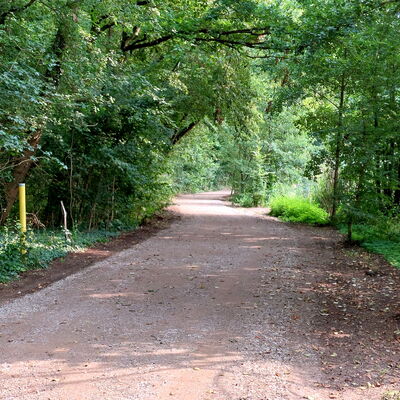 Bild vergr&ouml;&szlig;ern: Innerste-Radweg1