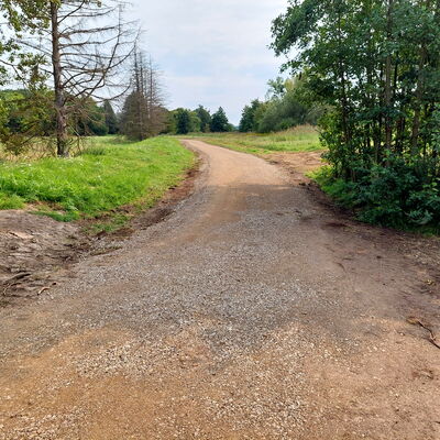 Bild vergr&ouml;&szlig;ern: Innerste-Radweg3