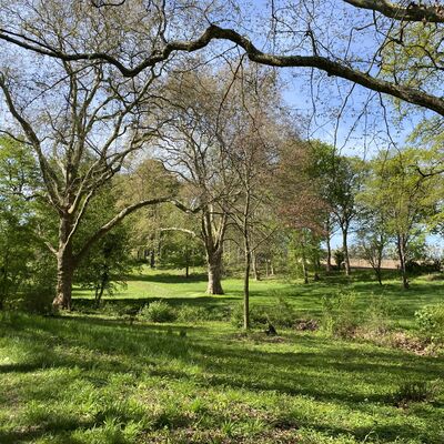Bild vergr&ouml;&szlig;ern: Walshausen Park1