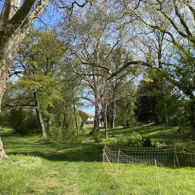 Bild vergr&ouml;&szlig;ern: Walshausen Park4