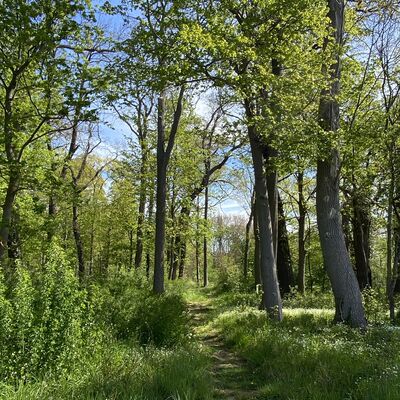Bild vergr&ouml;&szlig;ern: Walshausen Park6