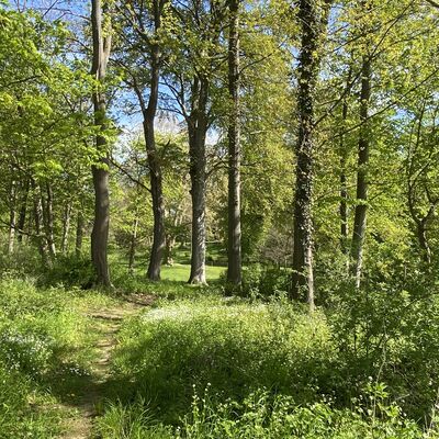 Bild vergr&ouml;&szlig;ern: Walshausen Park7