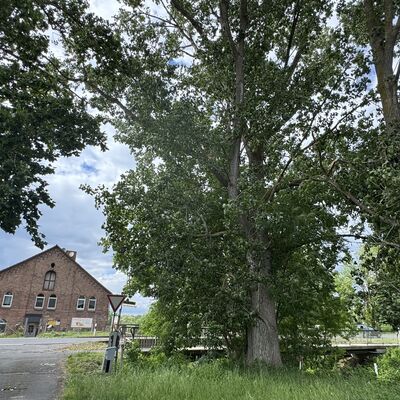 Bild vergr&ouml;&szlig;ern: Br&uuml;cke_neu_Fuhse1