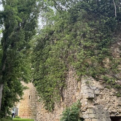 Bild vergr&ouml;&szlig;ern: Burg_Pforthaus_Fliederturm