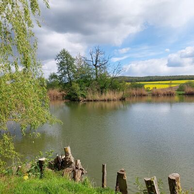 Bild vergr&ouml;&szlig;ern: Fischteich