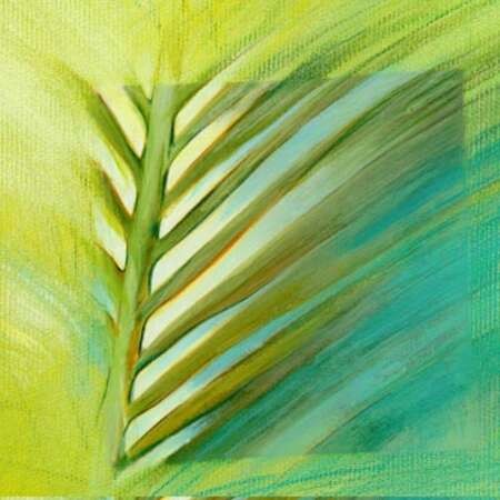 Bild vergr&ouml;&szlig;ern: Palmwedel