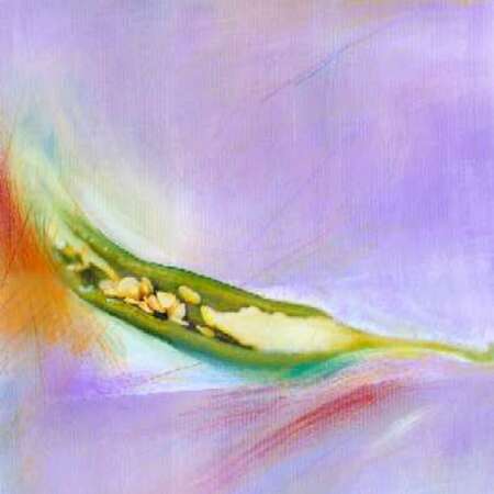 Bild vergr&ouml;&szlig;ern: sowada 2